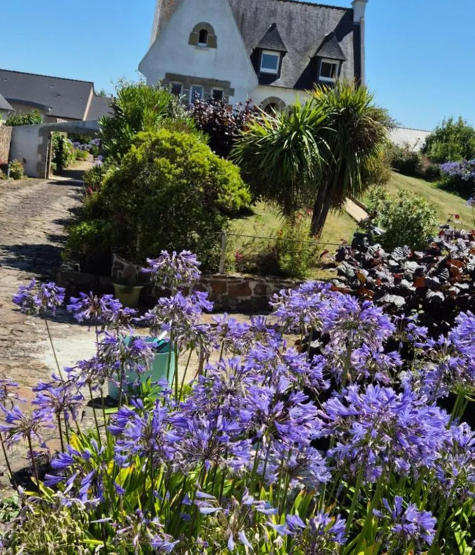 Escapade Bretonne - Binic, Proche Plages Et Vieux Port Binic